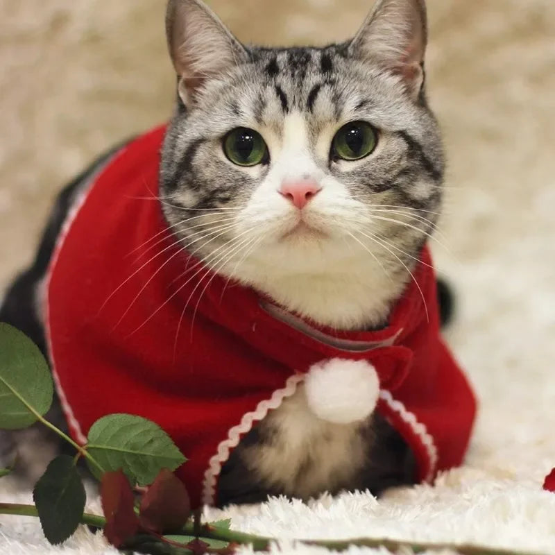 Christmas Pet Cloak Dress Up Apparel