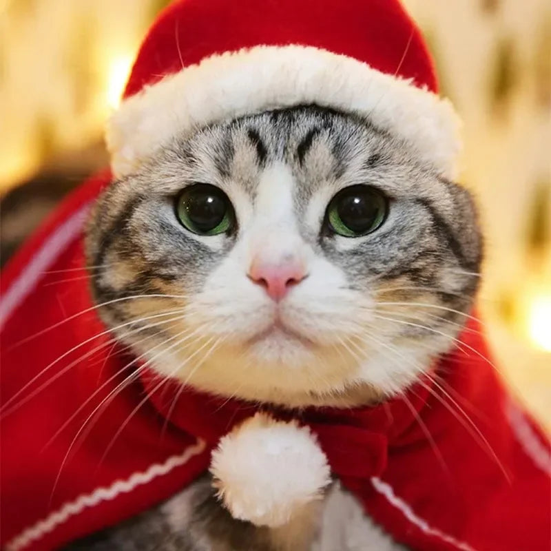 Christmas Pet Cloak Dress Up Apparel